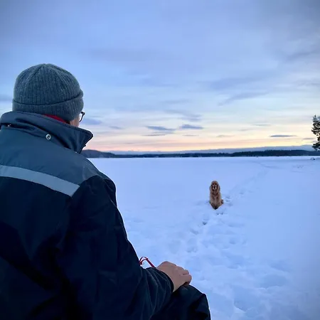 Dağ evi Vaelituvan Lomamoekit Punkaharju