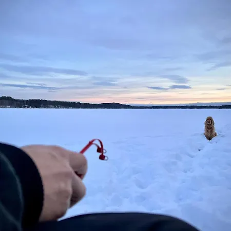 Vaelituvan Lomamoekit