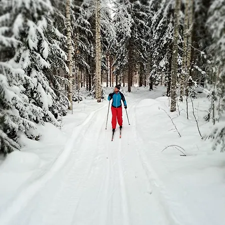 Vaelituvan Lomamoekit *