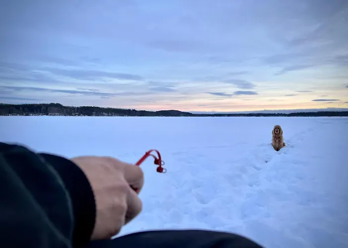 Vaelituvan Lomamoekit