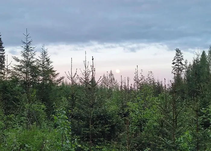 شاليه Vaelituvan Lomamoekit