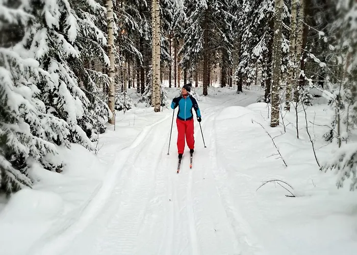 Vaelituvan Lomamoekit *