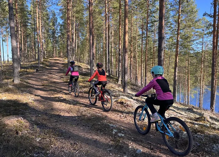 Vaelituvan Lomamoekit *