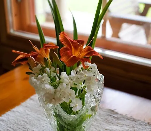 샬레 Vaelituvan Lomamoekit 푼카하류