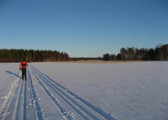 샬레 Vaelituvan Lomamoekit *