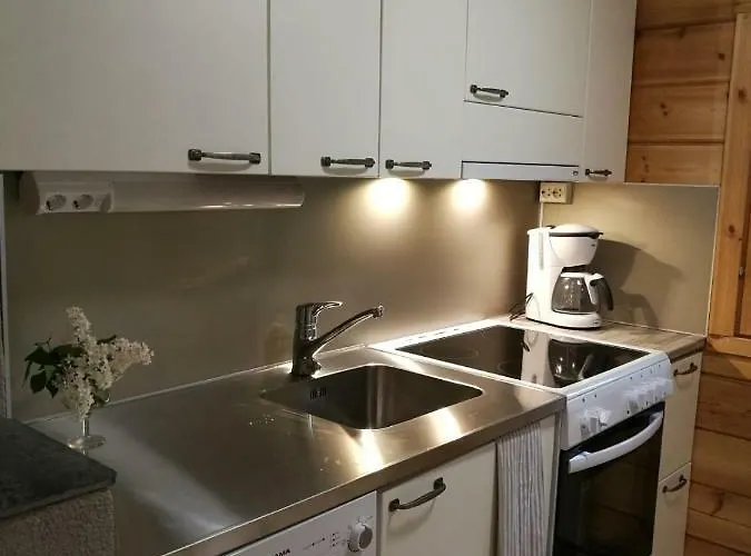 샬레 Vaelituvan Lomamoekit *